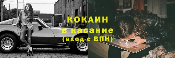 стаф Снежногорск