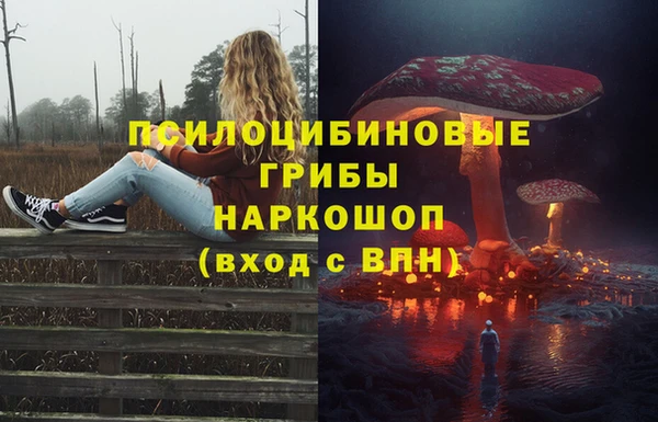 стаф Снежногорск