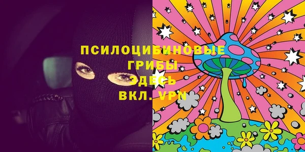 экстази Арсеньев